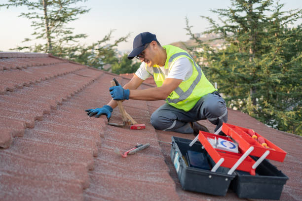 Best Metal Roofing Contractor  in Nampa, ID