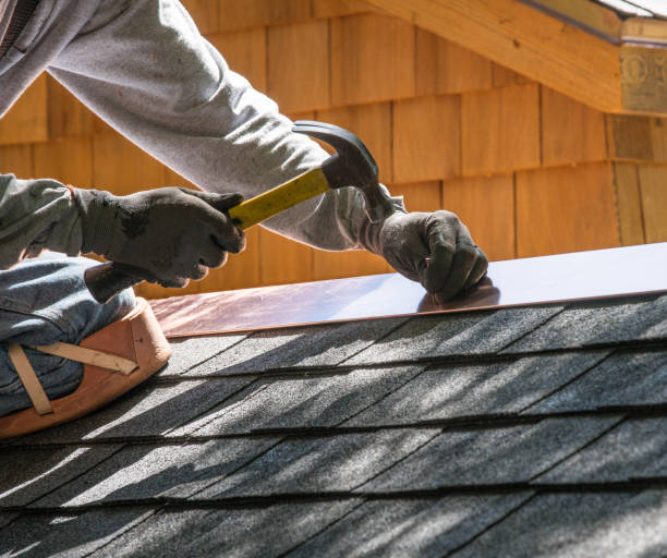 Best Metal Roofing Contractor  in Nampa, ID